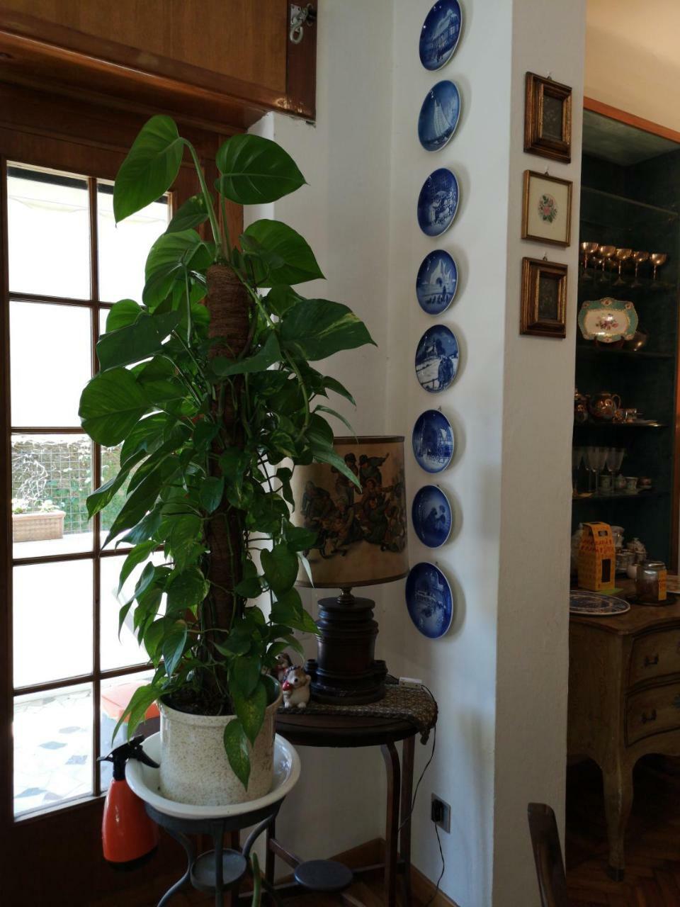 Wanderlust Bnb Pisa Exterior photo